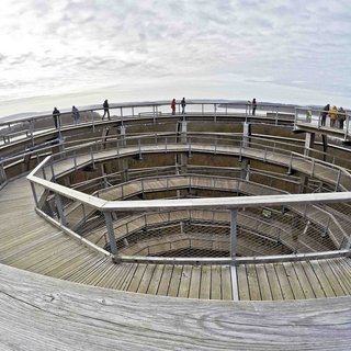Auf der Aussichtsplattform des Baumwipfelpfades Prora