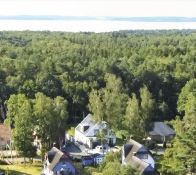 Haus Rügen dierekt am Waldrand
