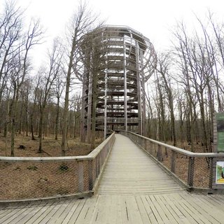 Aussichtsturm des Baumwipfelpfades Prora 